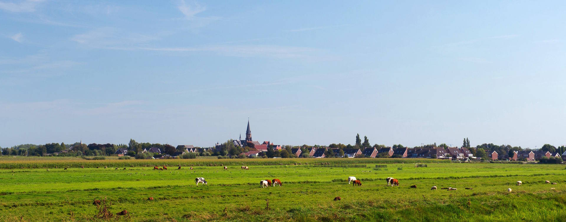 De omgeving van Phielix Verzekeringen B.V., RegioBank in Reeuwijk