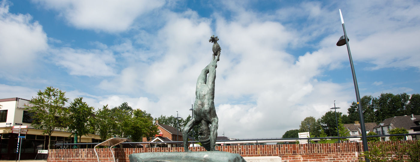 De omgeving van Ten Broeke makelaardij & verzekeringen, RegioBank in Lemelerveld