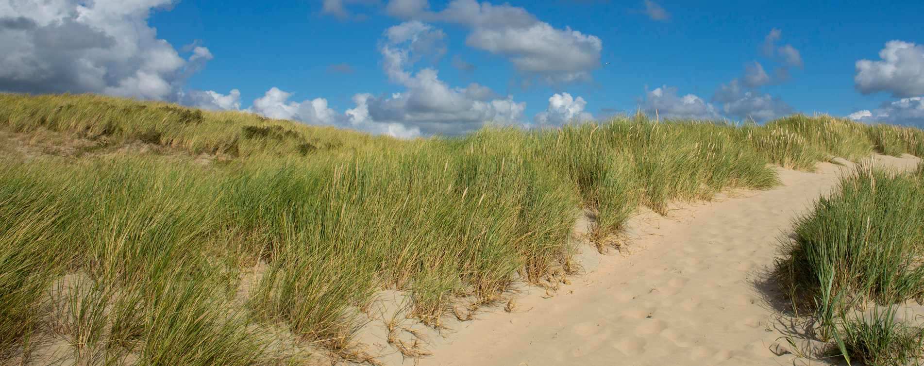 Strand en duinen van Castricum - Weel Verzekeringen & Hypotheken
