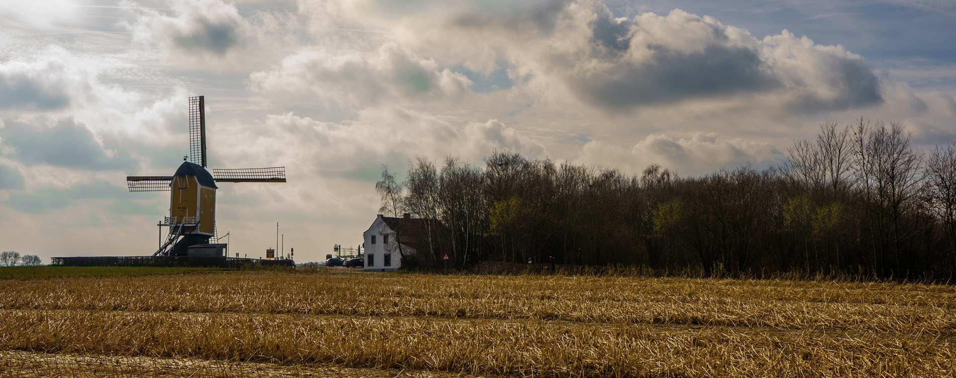 Molen op akker Beek - Adviesgroep Reijnders