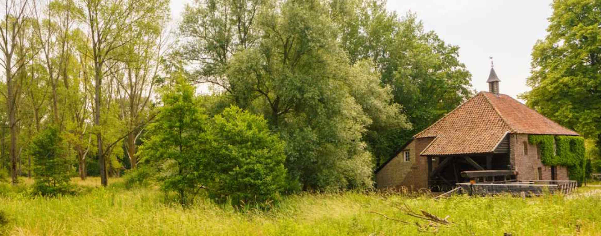 Natuur in de omgeving van Hendriks & Nijssen Financieel Adviesburo in Haelen