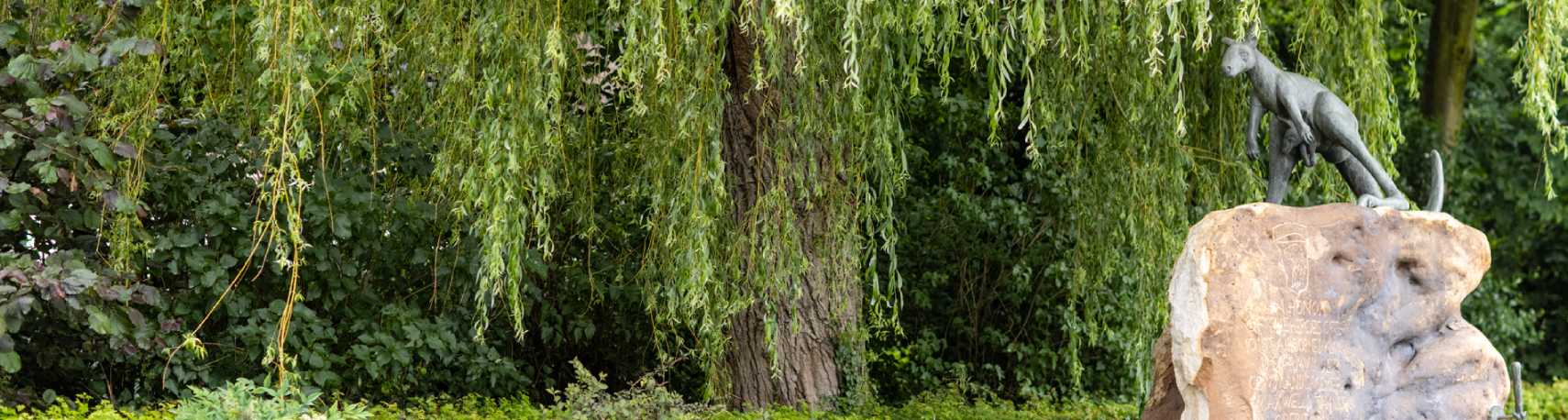 Park in Veghel - Hypotheek Advies Brabant